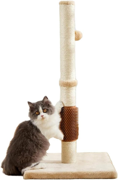 BRKT Cat Scratching Post for Indoor Cats,Cat tree with Sisal Rope Durable,Cat  Scratcher with Hanging Ball and Mouse Toy (Khaki with Massage Brush, 32 inches/80cm Tall)